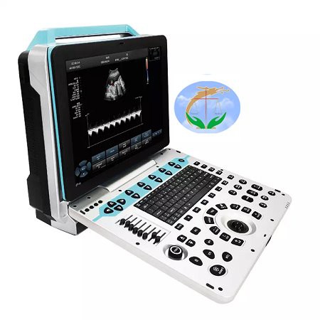 ULTRASOUND 5D ULTRASOUND 5D