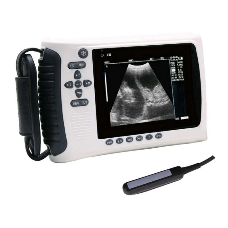 Veterinary BW Ultrasound Scanner Veterinary BW Ultrasound Scanner