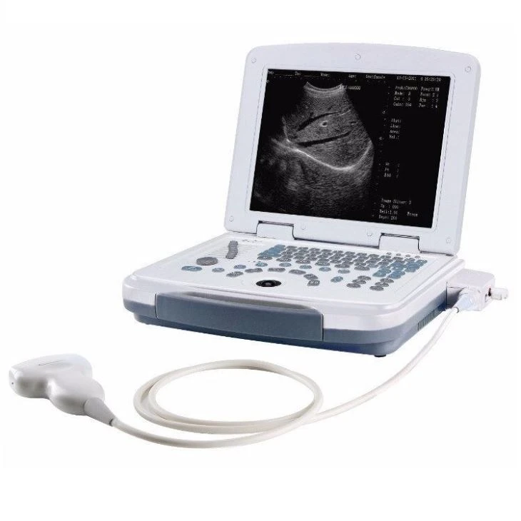 Escáner de ultrasonido de grasa trasera digital para equipos veterinarios