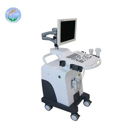 Black And White Full Digital Trolley Ultrasound Scanner Black And White Full Digital Trolley Ultrasound Scanner