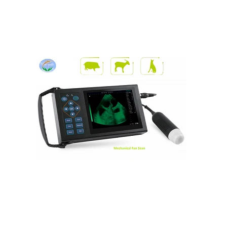 Hand held Vet Ultrasound Hand held Vet Ultrasound